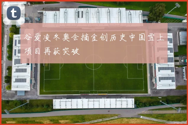 谷爱凌冬奥会摘金创历史中国雪上项目再获突破